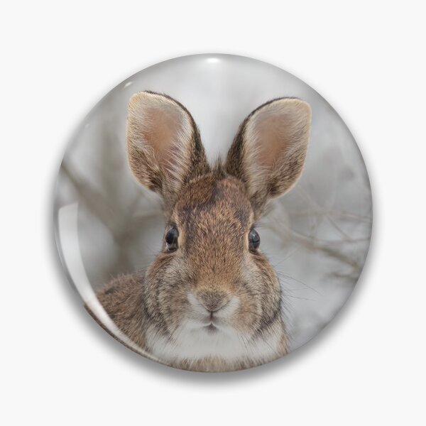 Item preview, Eastern Cottontail rabbit designed and sold by James Cumming.