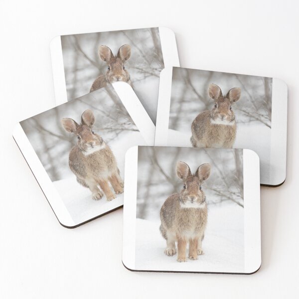 Item preview, Eastern Cottontail rabbit designed and sold by James Cumming.