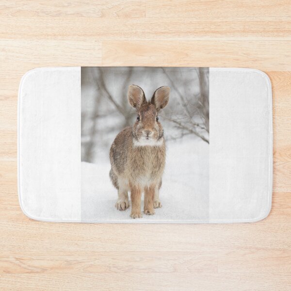 Item preview, Eastern Cottontail rabbit designed and sold by James Cumming.