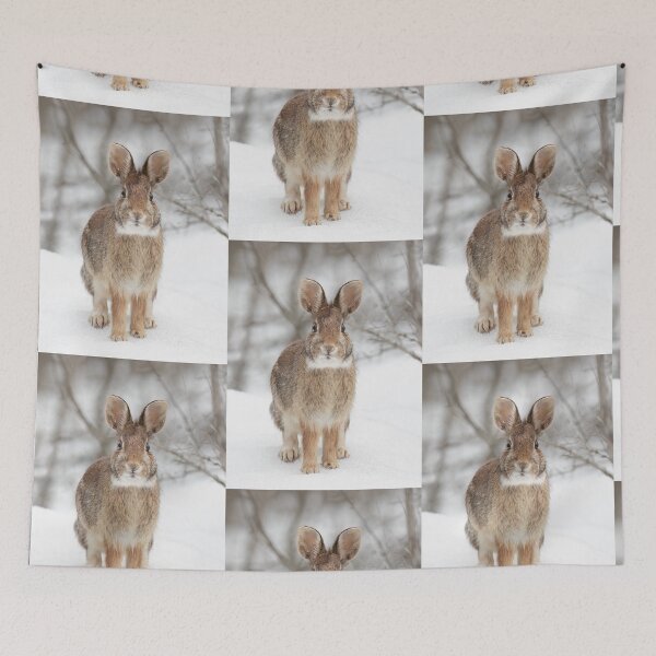 Item preview, Eastern Cottontail rabbit designed and sold by James Cumming.