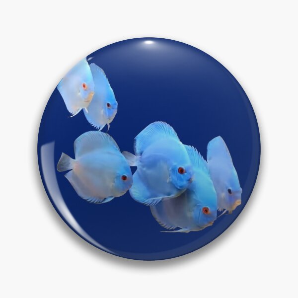 Item preview, BLUE DIAMOND DISCUS FISH designed and sold by Danicus666.