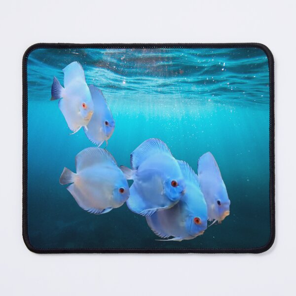 Item preview, BLUE DIAMOND DISCUS FISH designed and sold by Danicus666.