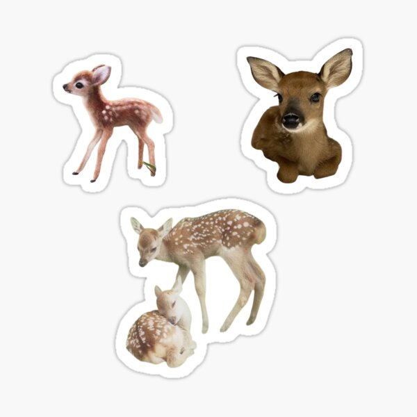 baby deer sticker pack Sticker