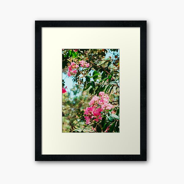 Item preview, Crape Myrtle Tree  designed and sold by prxjectphoto.