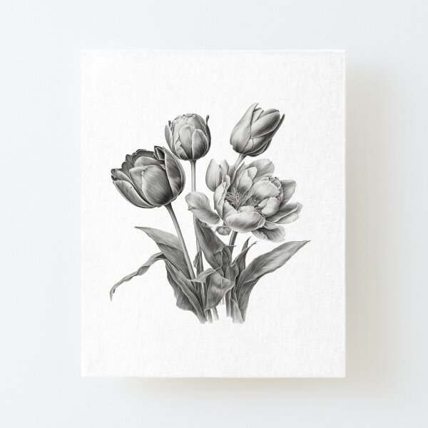 Premium Vector | Bouquet of tulip flower drawing illustration.