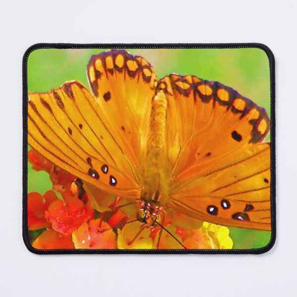 Item preview, Gulf Fritillary designed and sold by JohnDSmith.