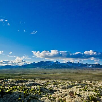 Artwork thumbnail, Rondane in summer by Ståle H. Meyer