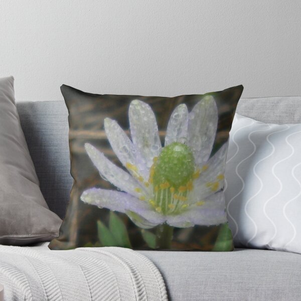 Item preview, Drenched Windflower designed and sold by Navigator.