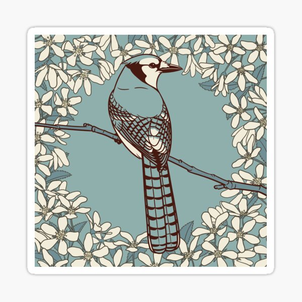 Blue Jay and Shadbush Sticker
