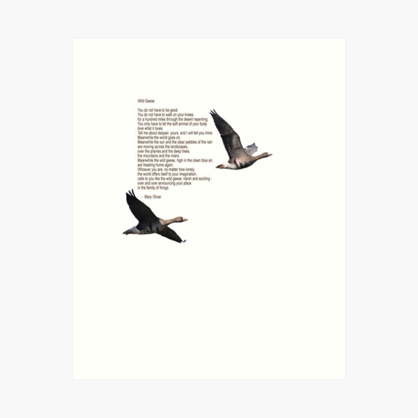 Item preview, Wild Geese Poem designed and sold by maplesyruptears.
