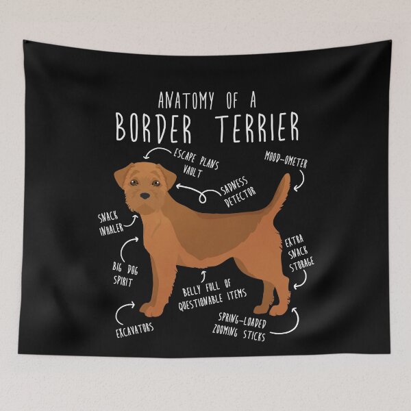 Item preview, Border Terrier Red Dog Anatomy designed and sold by Clara Hollins.