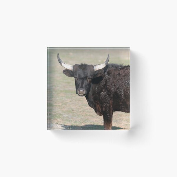 Item preview, Tranquil  designed and sold by Elliot L..