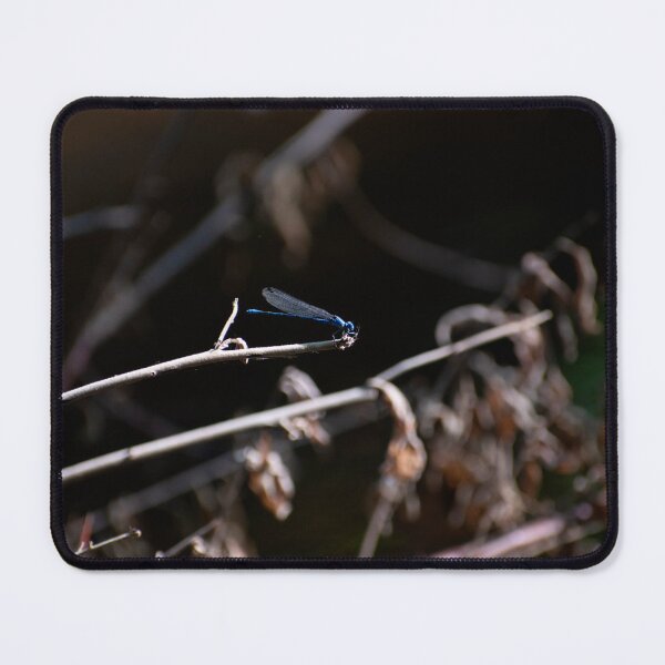 Item preview, Blue Dragonfly designed and sold by Elliot L..