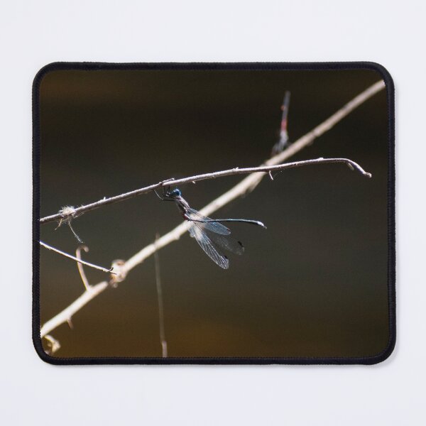 Item preview, Dragonfly Stretching designed and sold by Elliot L..