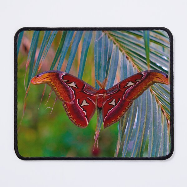 Item preview, Crimson Wings designed and sold by Elliot L..