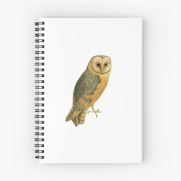 Item preview, Barn Owl | Vintage Owl illustration  designed and sold by EveryDayDabble.