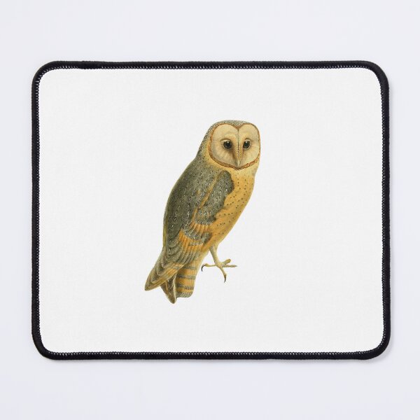 Item preview, Barn Owl | Vintage Owl illustration designed and sold by EveryDayDabble.