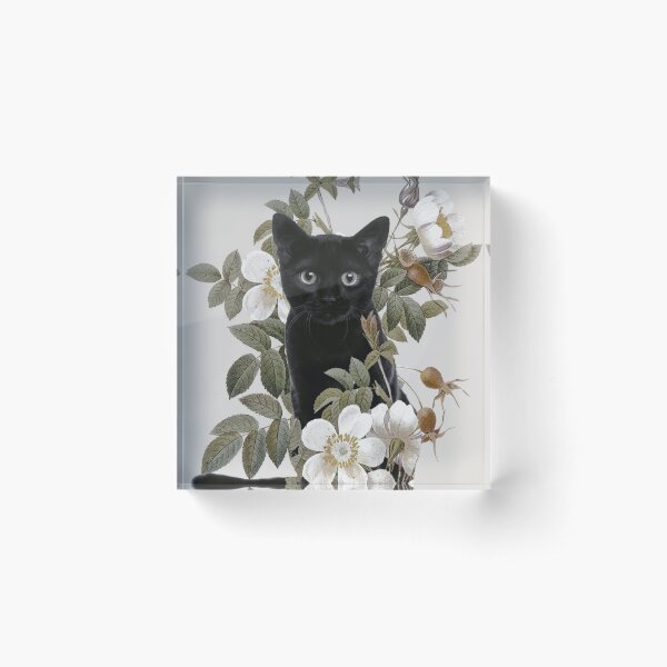 Cat With Flowers Acrylic Block
