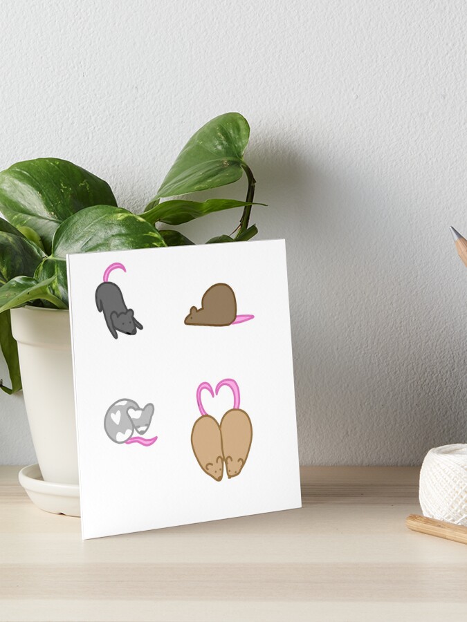 House Plant Sticker Pack » Pip & Cricket