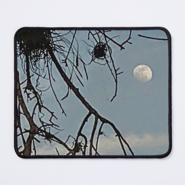 Item preview, Moss, moonlight and airplants designed and sold by tuckersemporium.