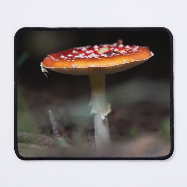 Item preview, fly agaric fungi designed and sold by codaimages.