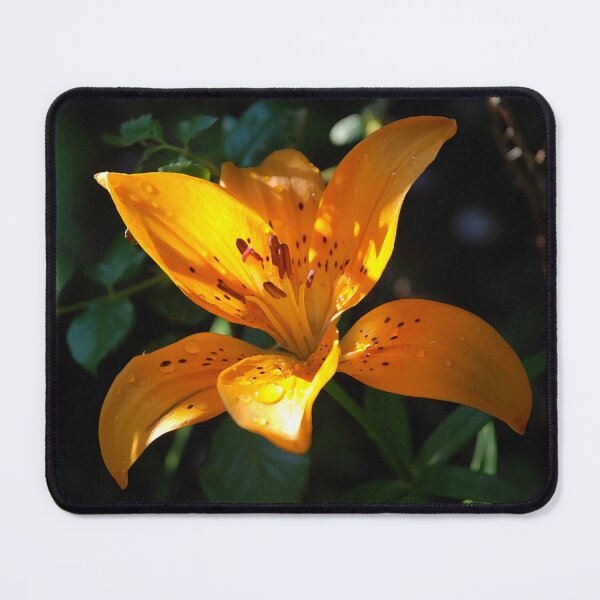 Item preview, Tiger Lily Print designed and sold by cafecats.