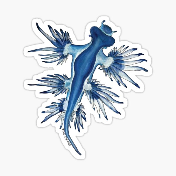 Item preview, Nudibranch | Blue Dragon designed and sold by BugCreative.