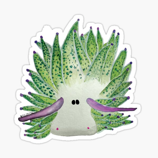Item preview, Nudibranch | Sea Sheep designed and sold by BugCreative.
