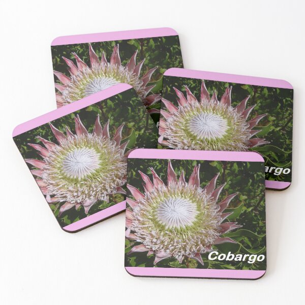 Item preview, King Protea (PROTEA cynaroides) designed and sold by Cobargo South Coast.