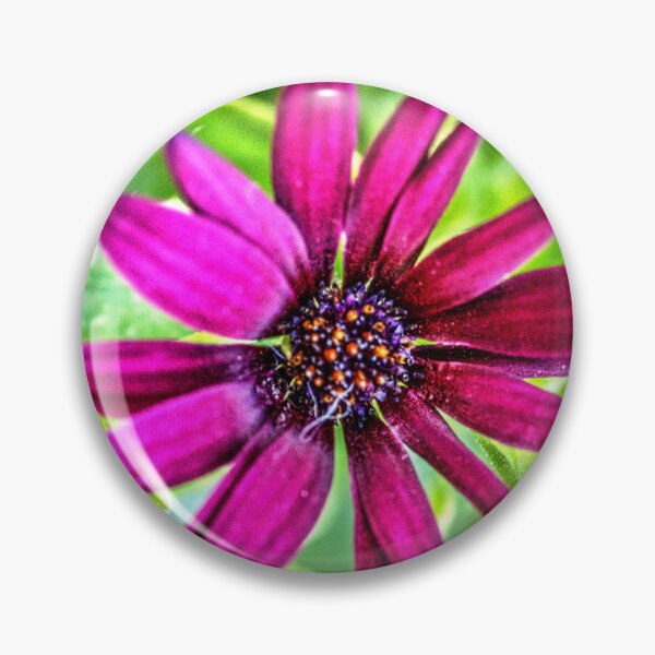 Item preview, Cape Marguerite designed and sold by WCHGraphics.