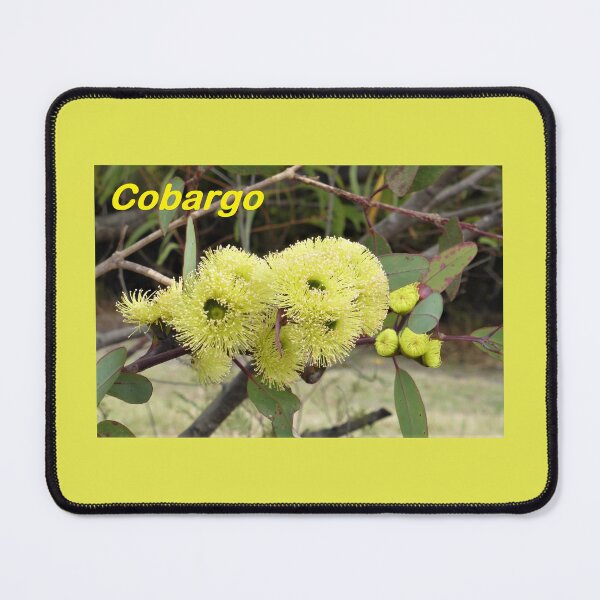 Item preview, Gum Blossoms (Eucalyptus), Bega Valley, NSW, Australia designed and sold by Cobargo South Coast.
