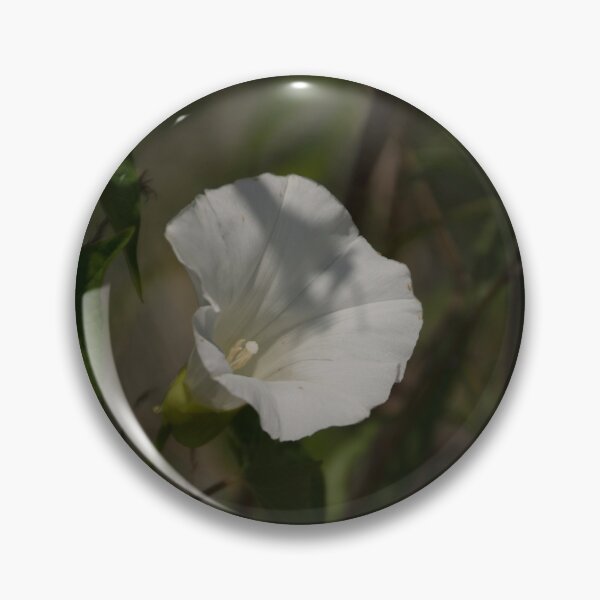 Item preview, Hedge bindweed designed and sold by WCHGraphics.