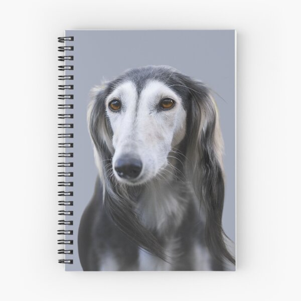 Item preview, Long Haired Saluki designed and sold by RainbowSpinkle.