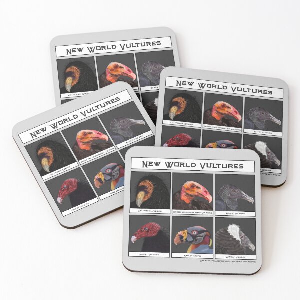 Item preview, New World Vultures Illustration designed and sold by HRSCreates.