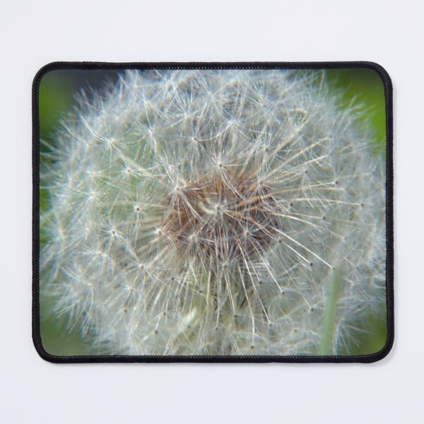 Item preview, Dandelion designed and sold by WCHGraphics.