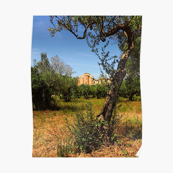 Italy, olive trees and an ancient abbey Poster