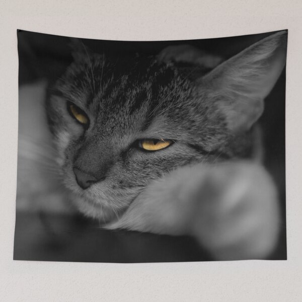 Item preview, gato de aspecto extraño designed and sold by ricobarinas.