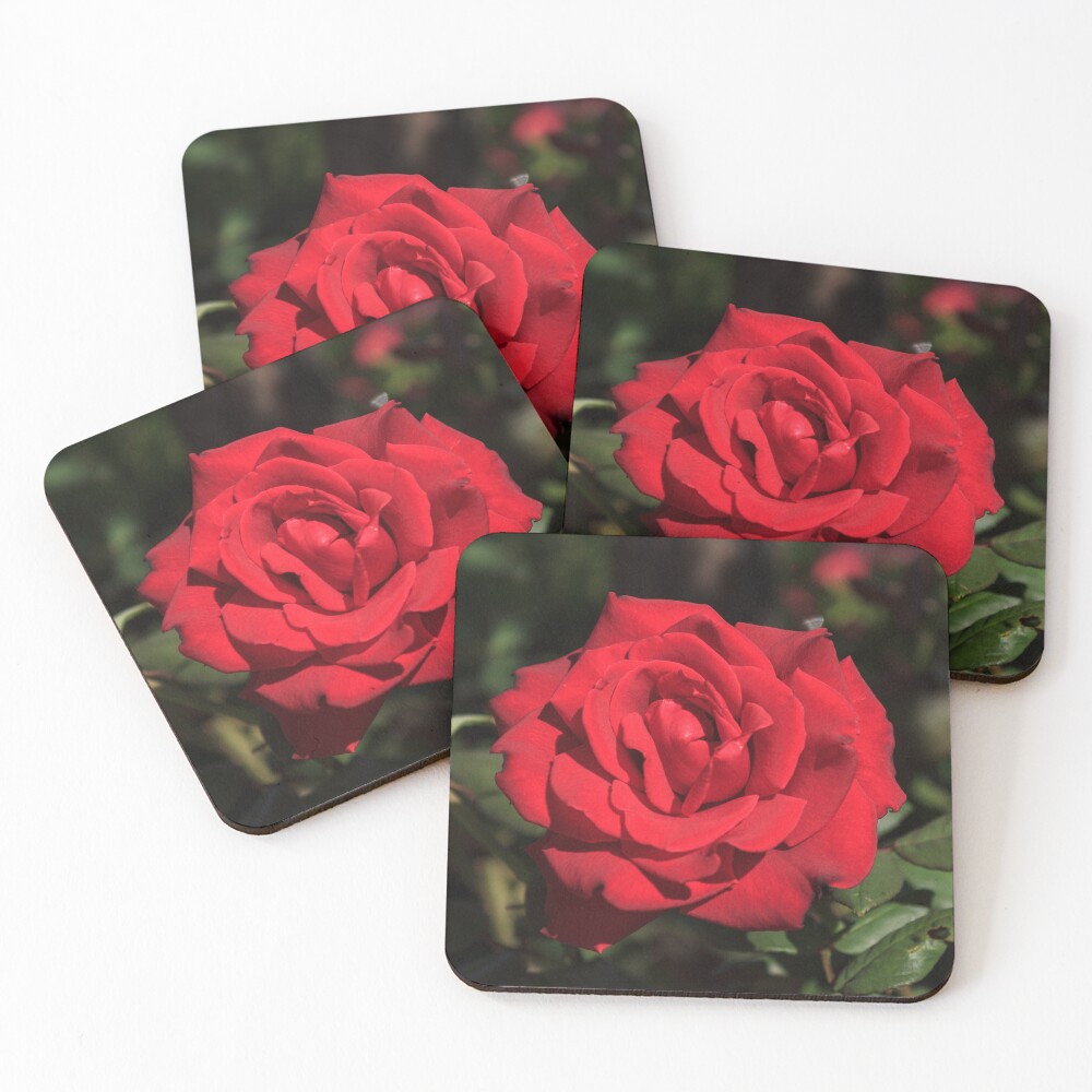 Item preview, Coasters (Set of 4) designed and sold by adamayokuy.