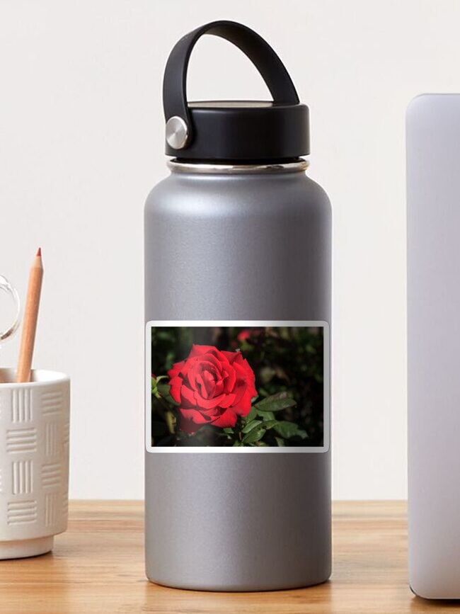 Thumbnail 1 of 3, Sticker, Red Rose designed and sold by Yuko Yamada.