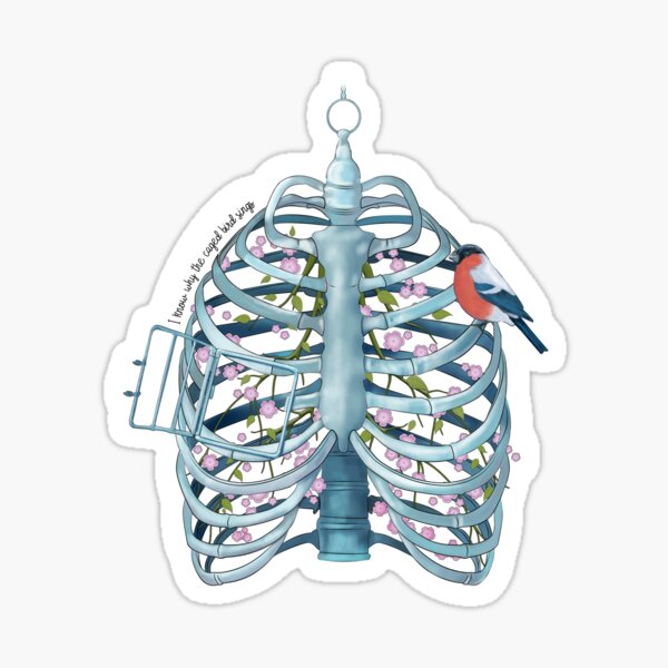 I know why the caged bird sings Sticker