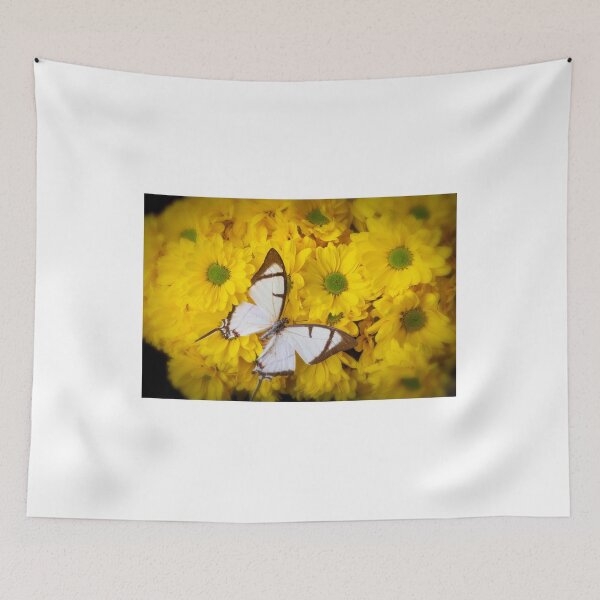 Item preview, White Exotic Butterfly On Yellow Poms designed and sold by Garry Gay.