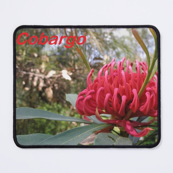 Item preview, Waratah (Telopea), NSW, Australia designed and sold by Cobargo South Coast.