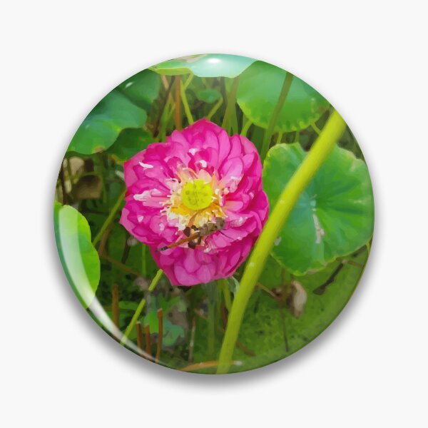 Item preview, Mount Coot-tha botanic gardens designed and sold by OCNau.
