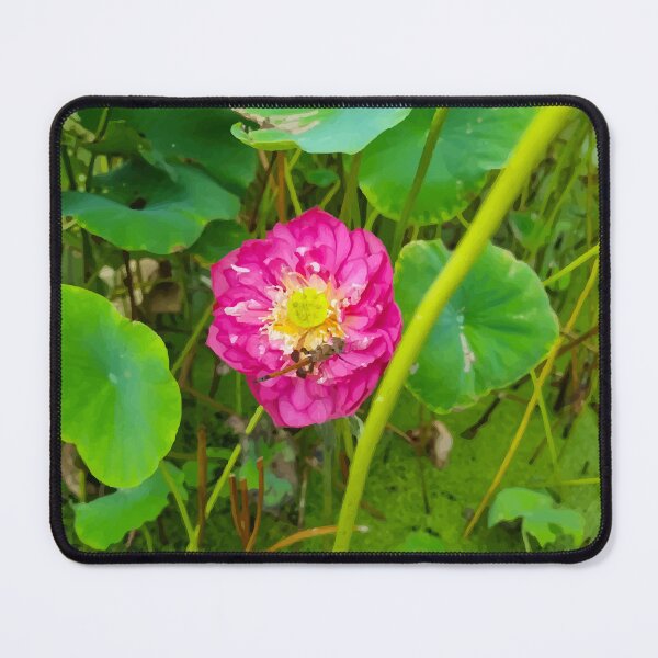 Item preview, Mount Coot-tha botanic gardens designed and sold by OCNau.