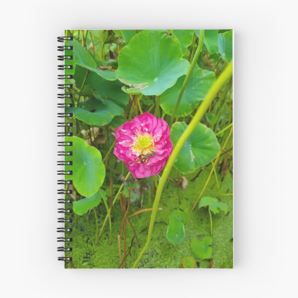 Item preview, Mount Coot-tha botanic gardens designed and sold by OCNau.
