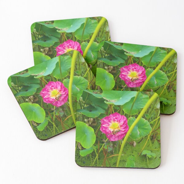 Item preview, Mount Coot-tha botanic gardens designed and sold by OCNau.