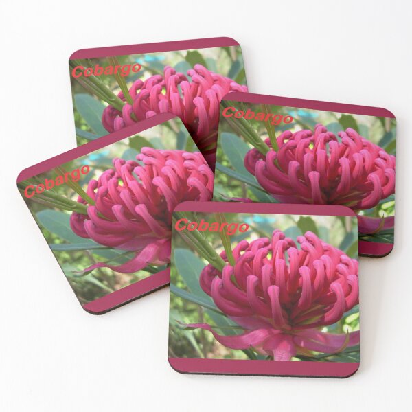 Item preview, Waratah (Telopea), NSW, Australia designed and sold by Cobargo South Coast.