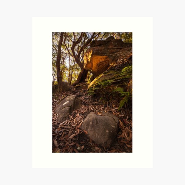 Item preview, Cave In Bushland designed and sold by Geoff Wols.