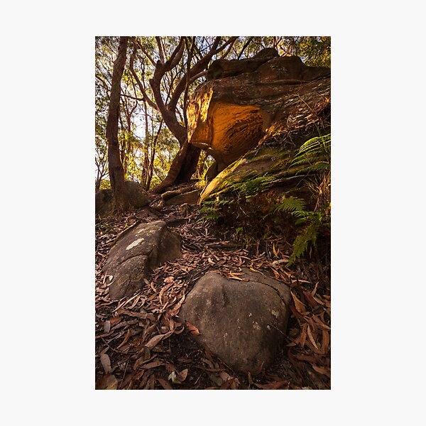 Item preview, Cave In Bushland designed and sold by Geoff Wols.