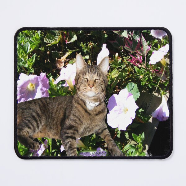 Item preview, Content Cat in a Petunia Bed designed and sold by kristalcurt.